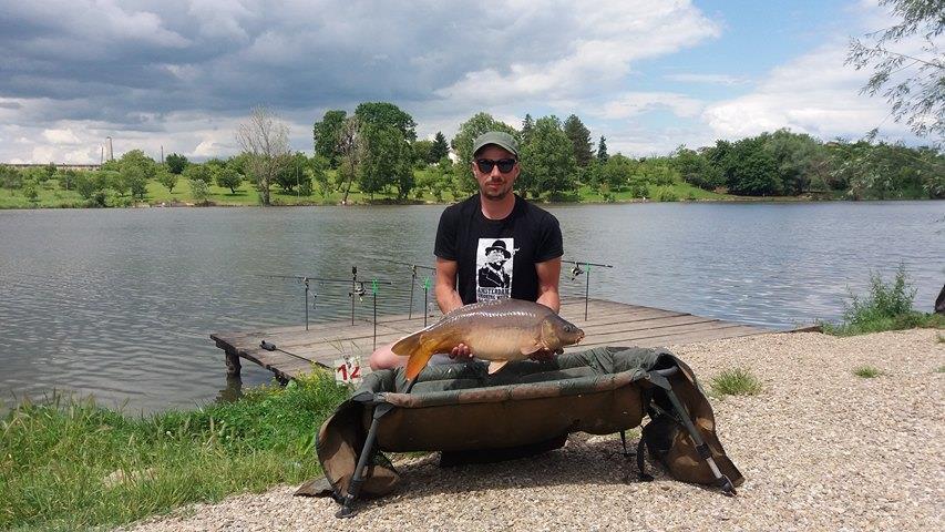 Pestisori - 187886801481561321908220161216050n.jpg